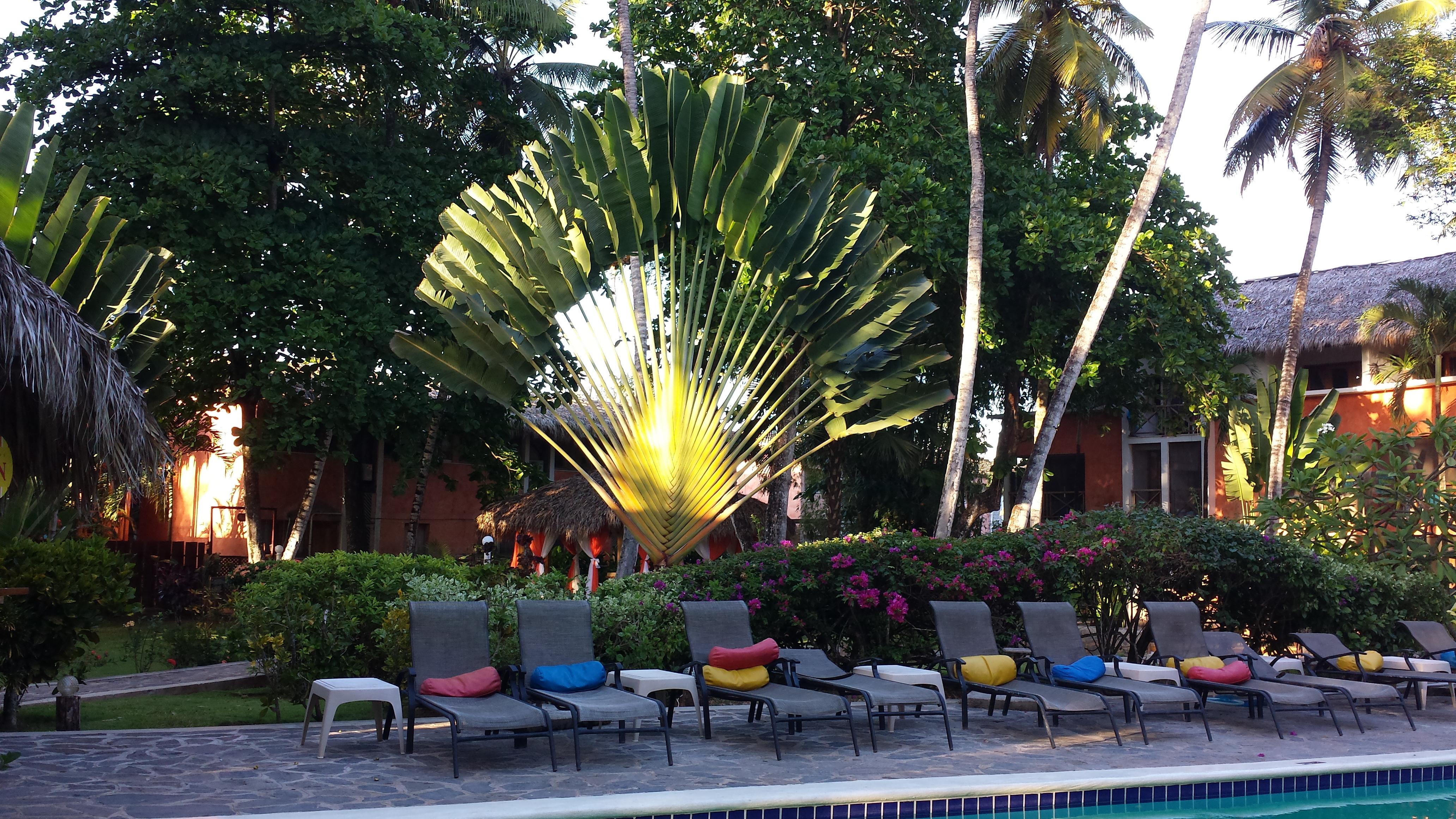 Aparthotel La Residencia Del Paseo Las Terrenas Exterior foto